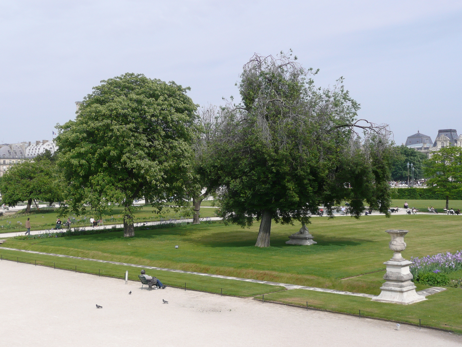 Photo France Paris Jardin des Tuileries 2007-05 270
