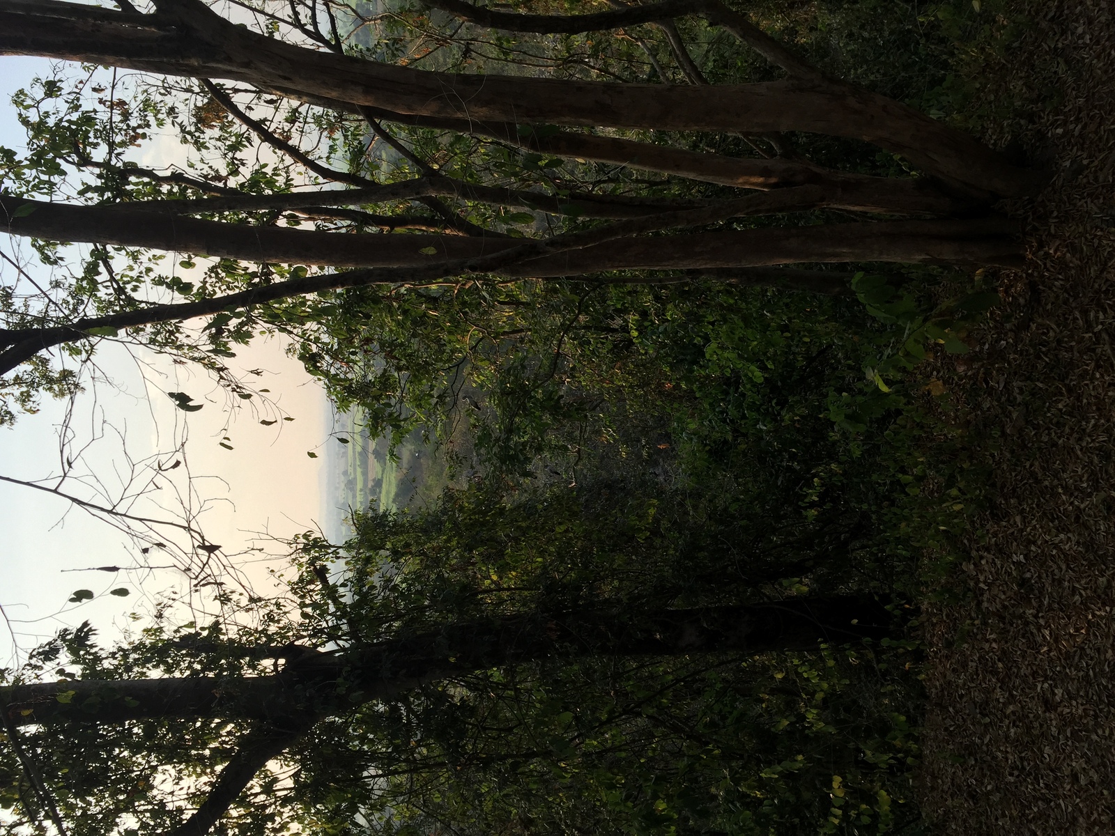 Photo Thaïlande Parc Si satchanalai 2014-12 104