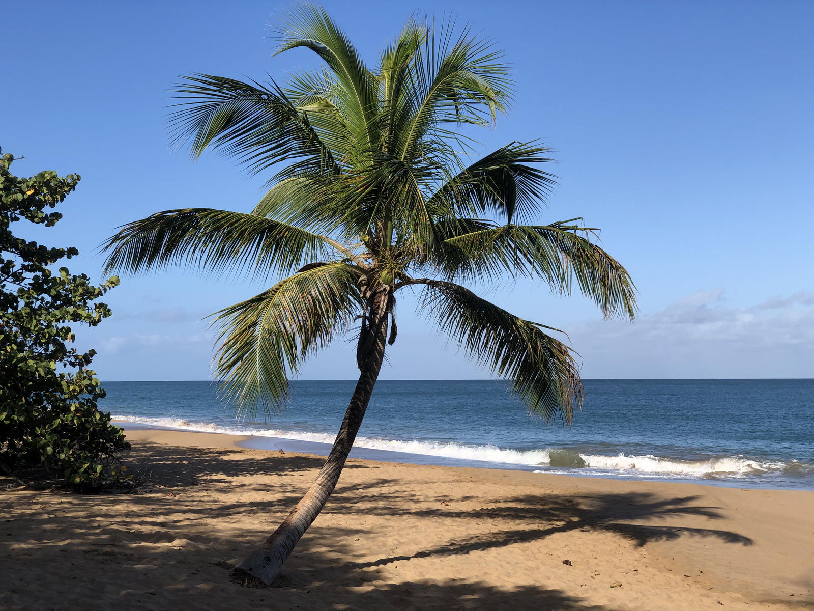Photo Guadeloupe Plage de la Perle 2021-02 129