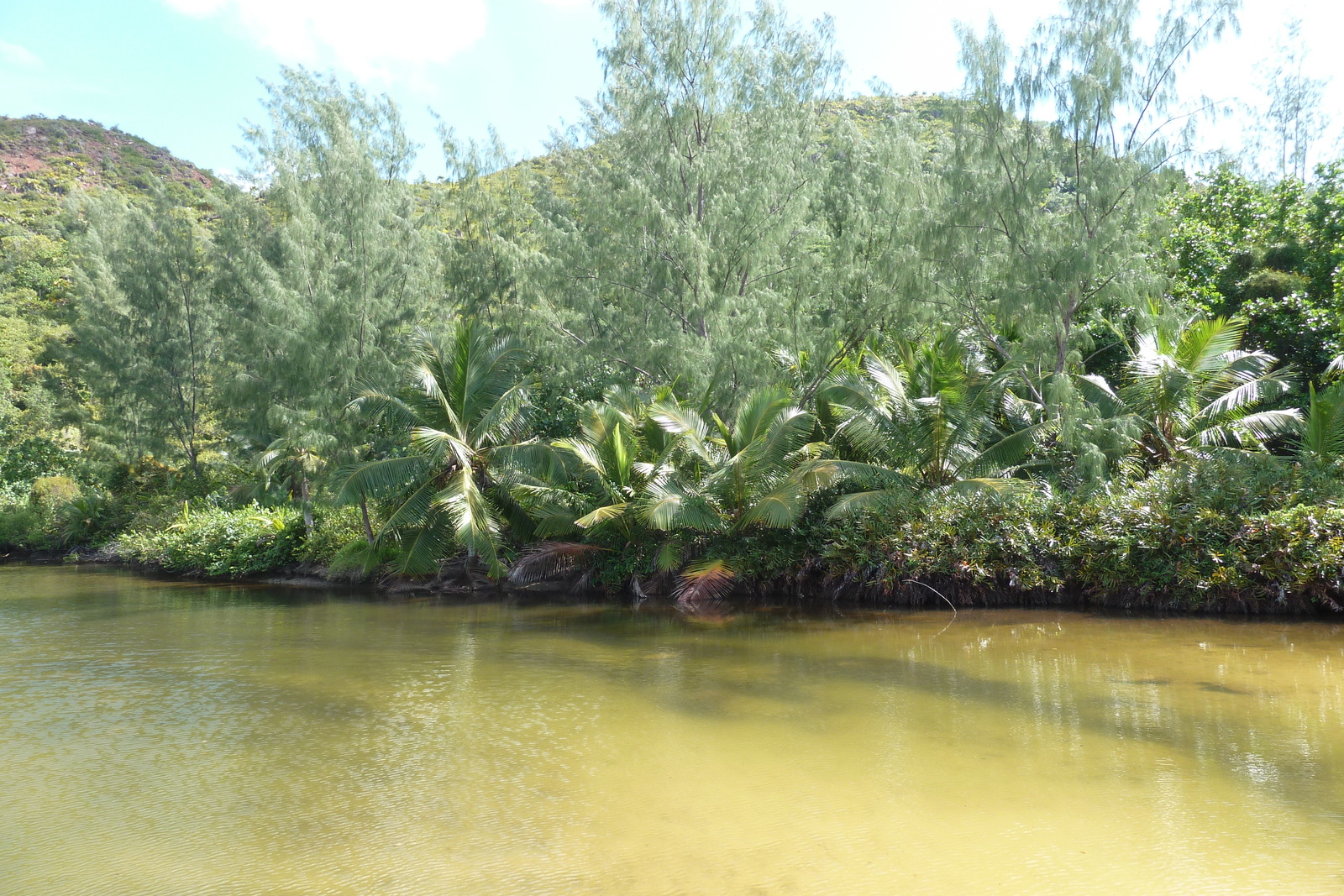 Photo Seychelles Anse Lazio 2011-10 52