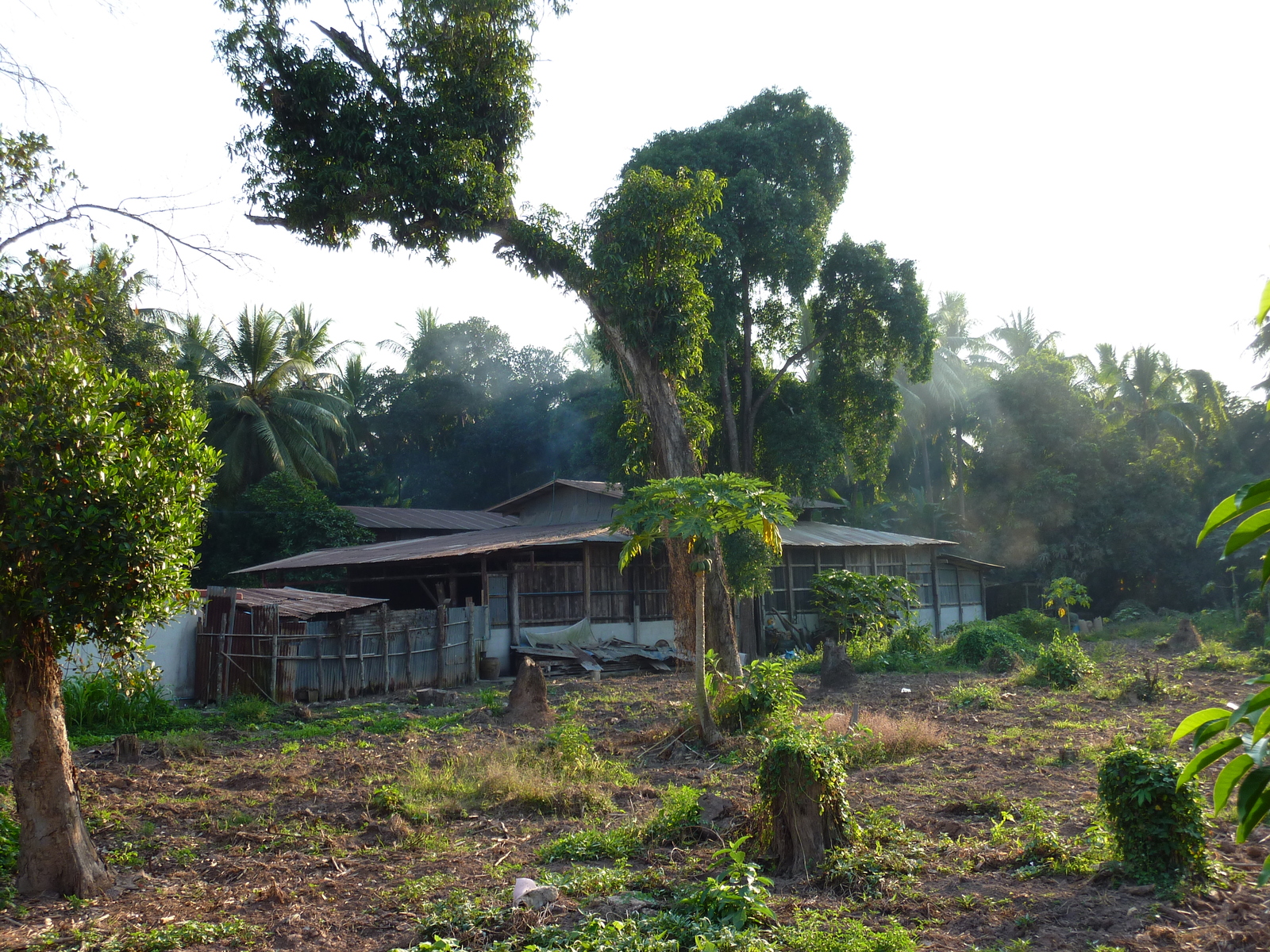 Photo Thaïlande Phitsanulok Chom Thong 2009-12 38