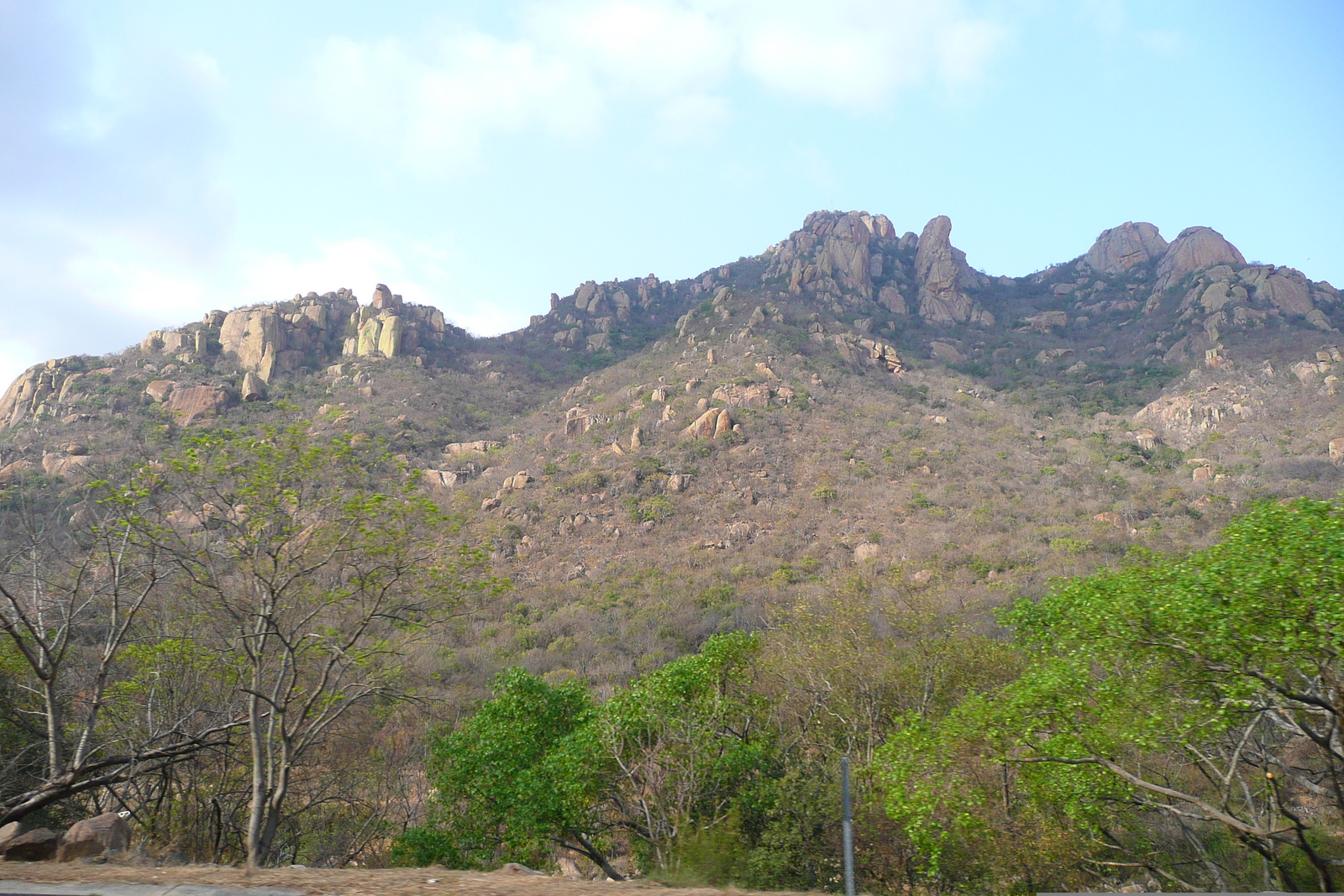 Photo Afrique du Sud route de Nelspruit à Malelane 2008-09 5