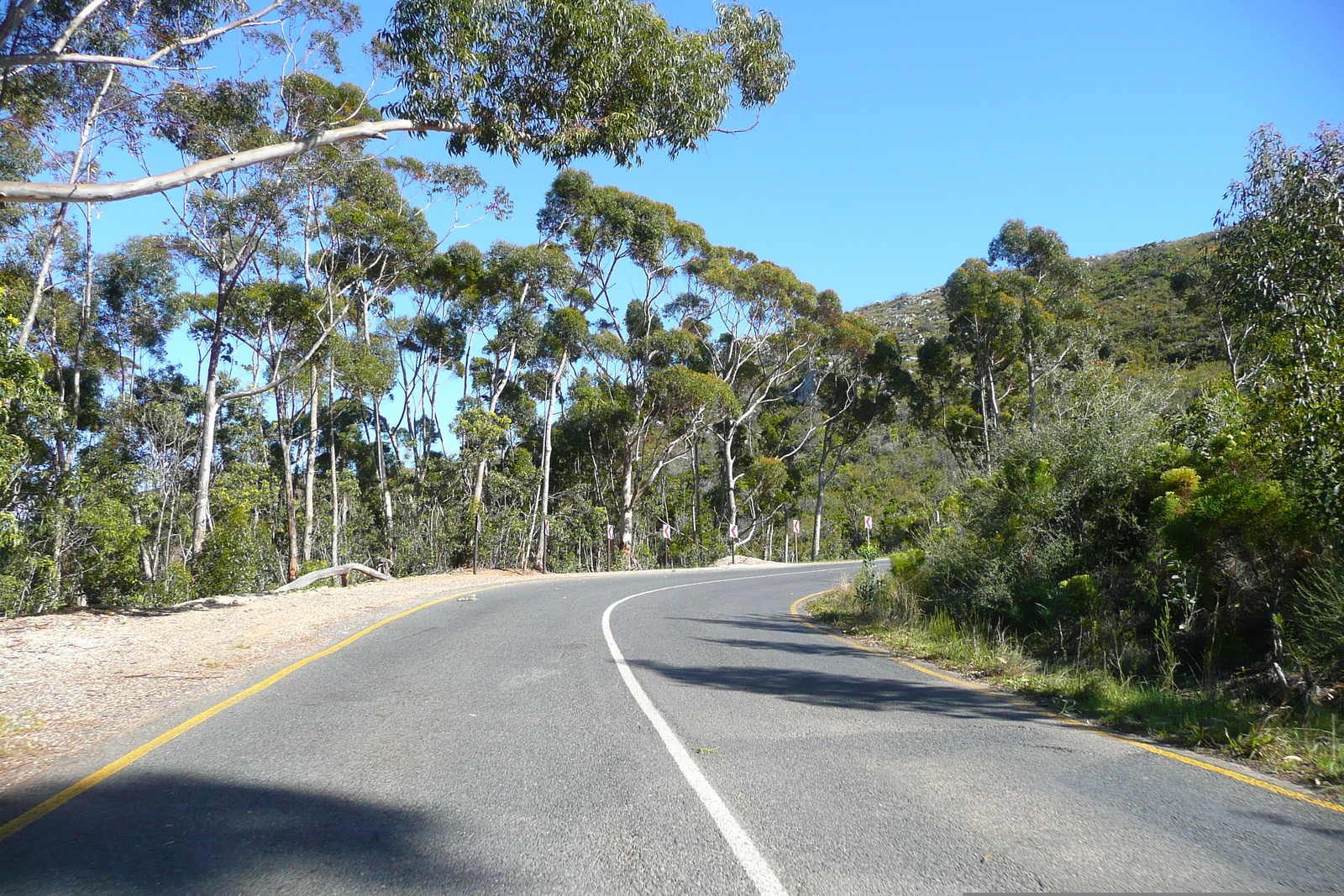 Photo Afrique du Sud Route de Harmanus à Knysna 2008-09 35