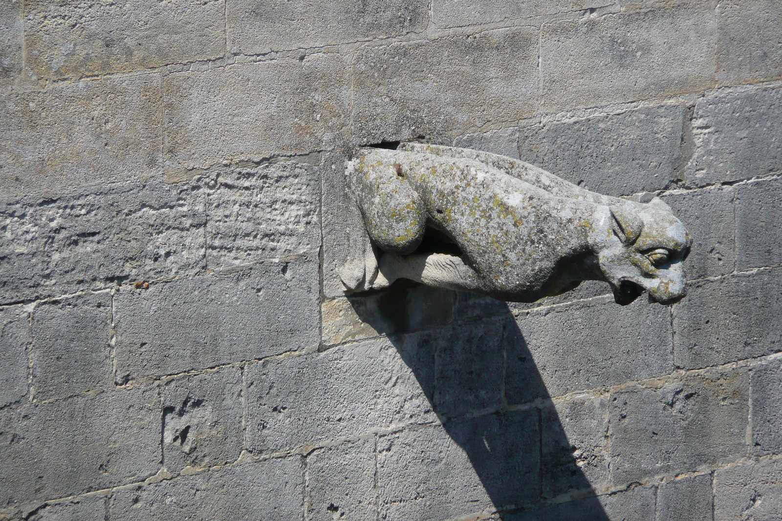 Photo France Tarascon Château du Roi René 2008-04 105