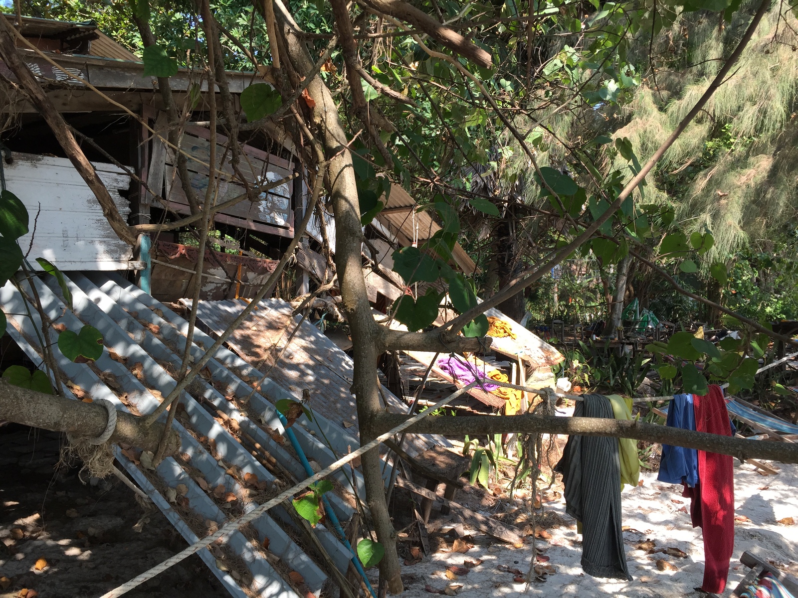 Photo Thaïlande Ko Samet 2016-01 73