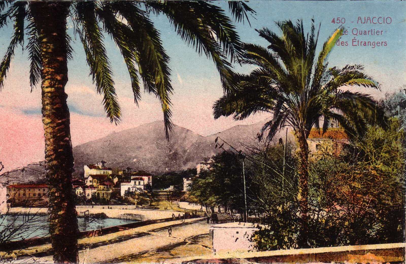Photo France Corse Cartes postales anciennes 1900-01 289