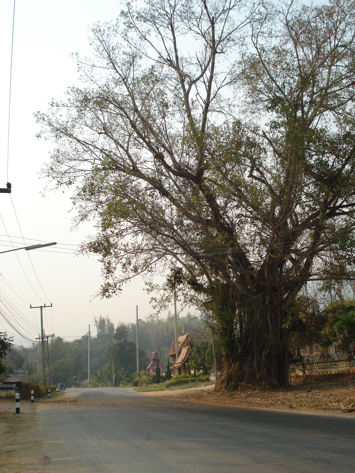Photo Thaïlande Route de Chiang Mai à Pai 2007-02 138