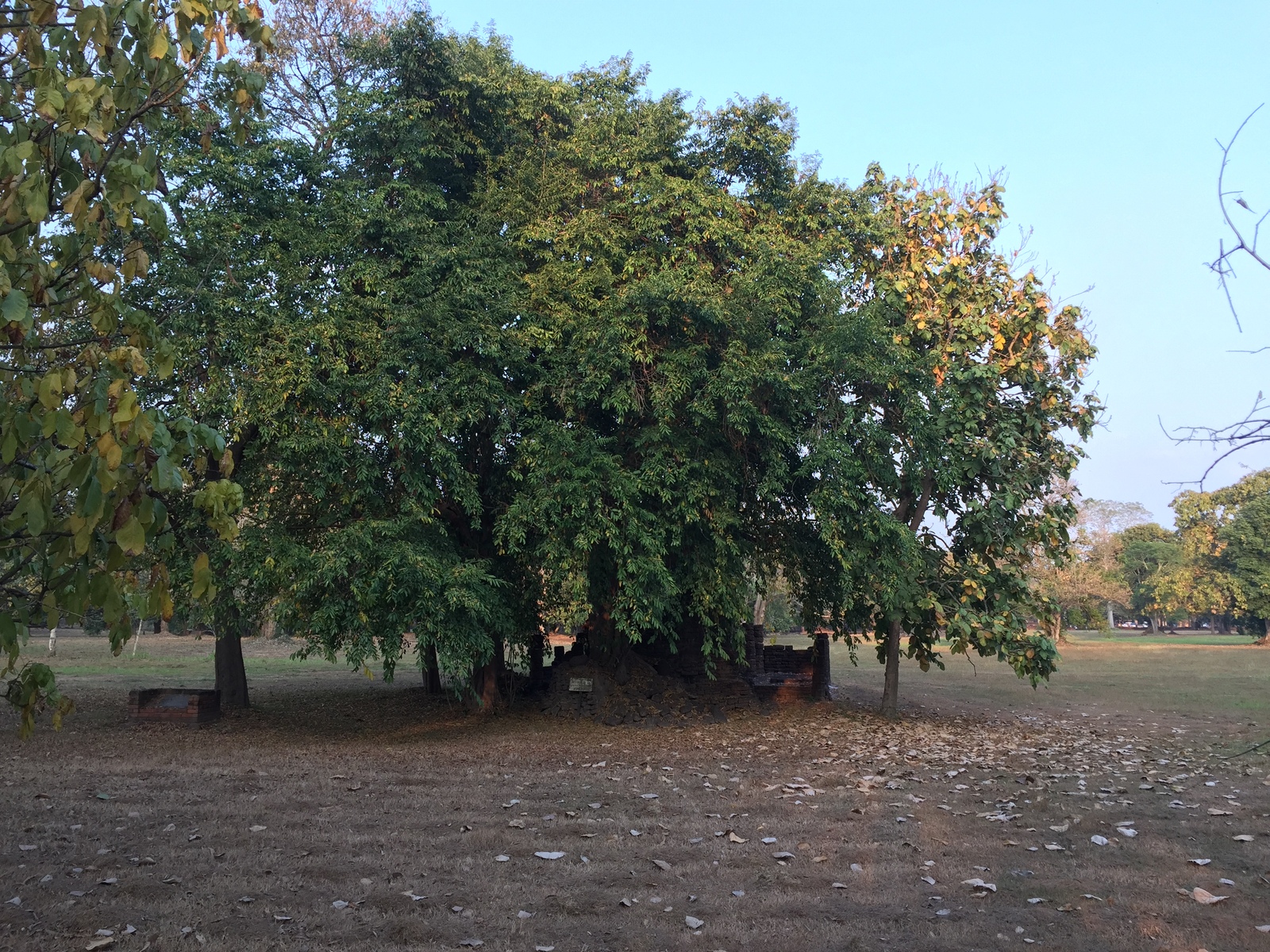 Photo Thaïlande Parc Si satchanalai 2014-12 78