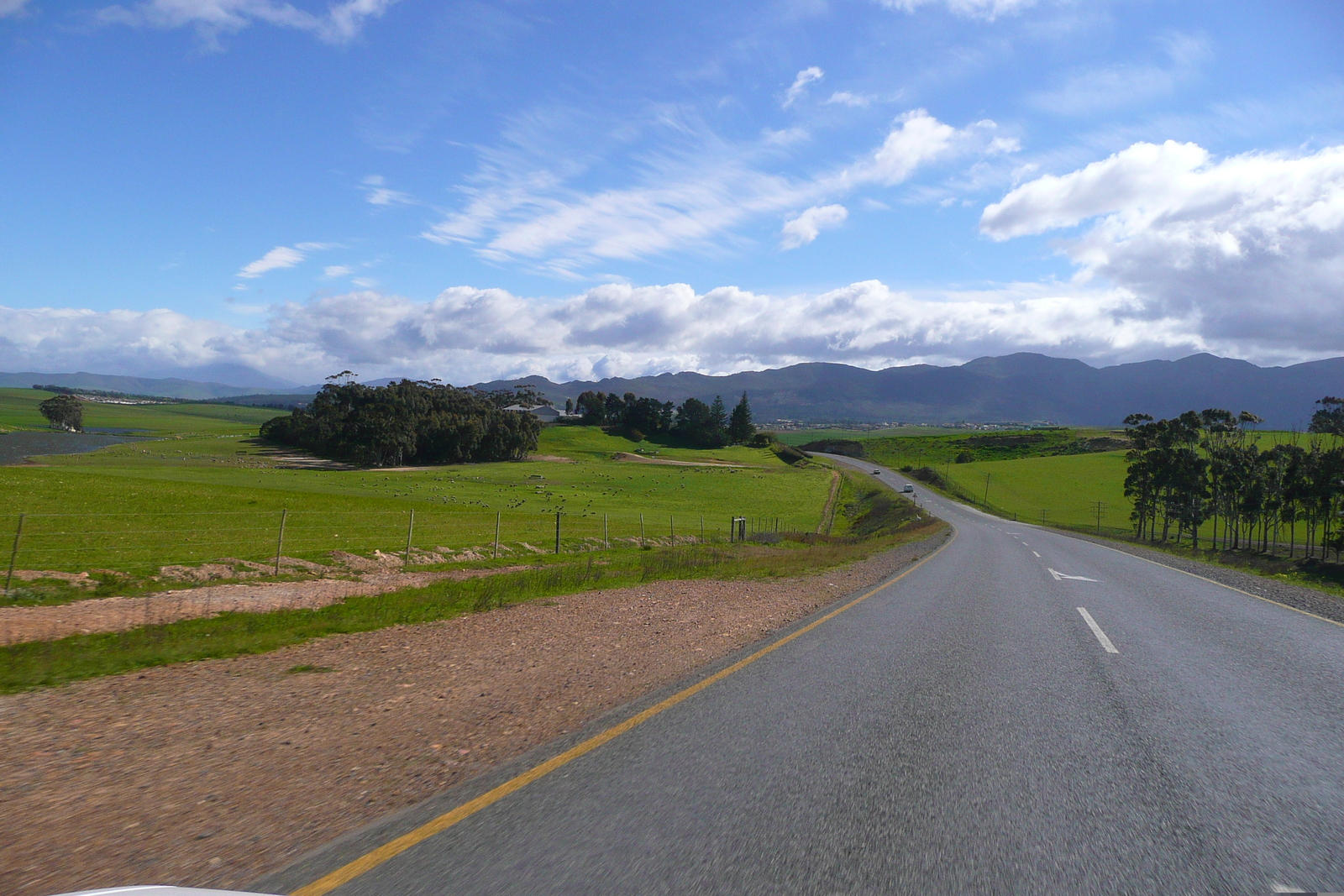 Photo Afrique du Sud Route de Harmanus à Knysna 2008-09 26