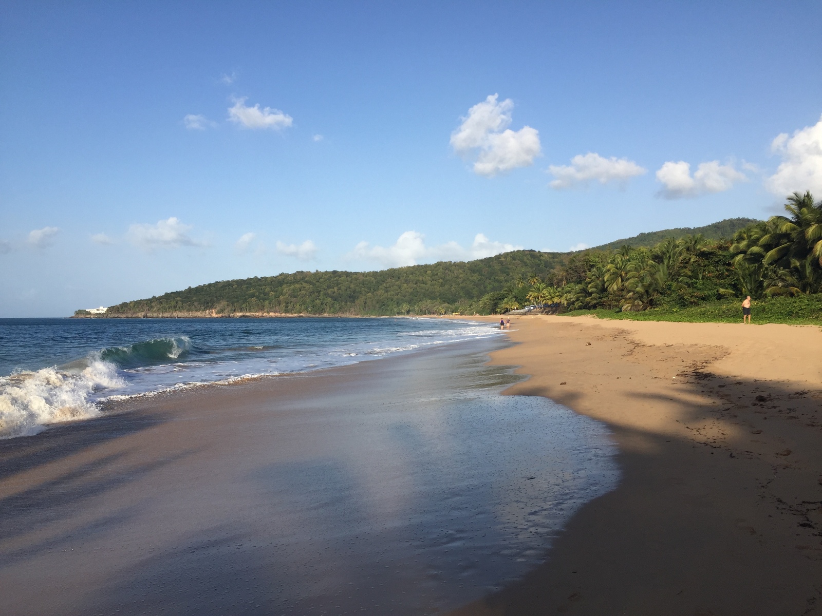 Photo Guadeloupe Plage de la Perle 2021-02 100