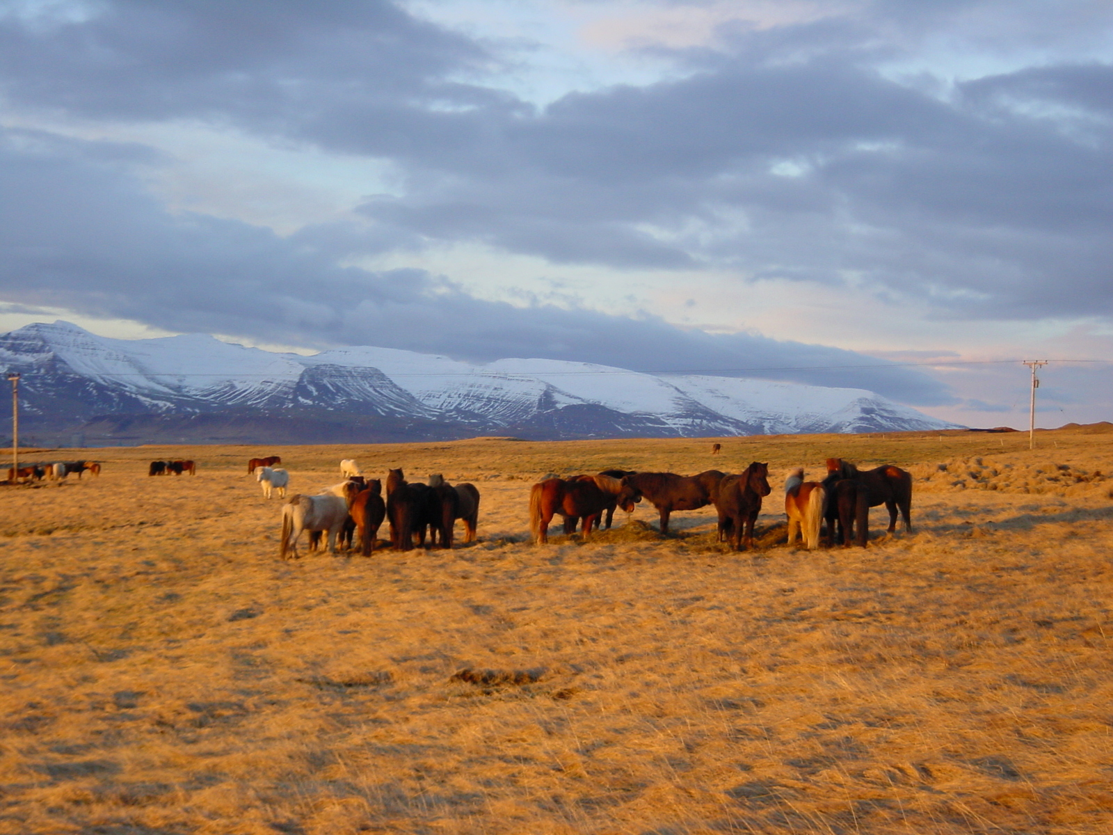 Photo Islande Route 39 vers Reykjavik 2003-03 21