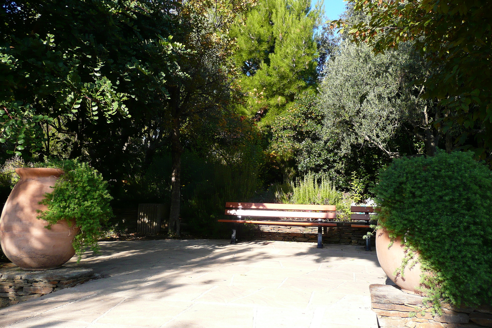 Photo France Nice Parc Phoenix 2007-10 79