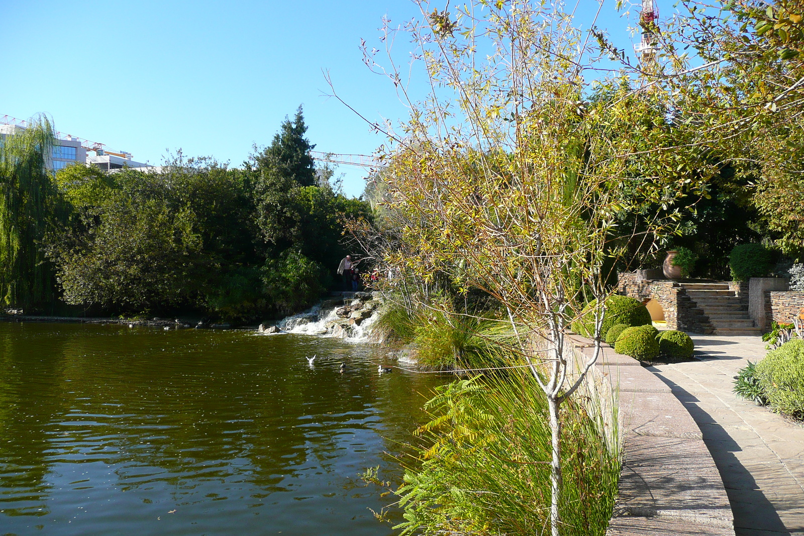 Photo France Nice Parc Phoenix 2007-10 91