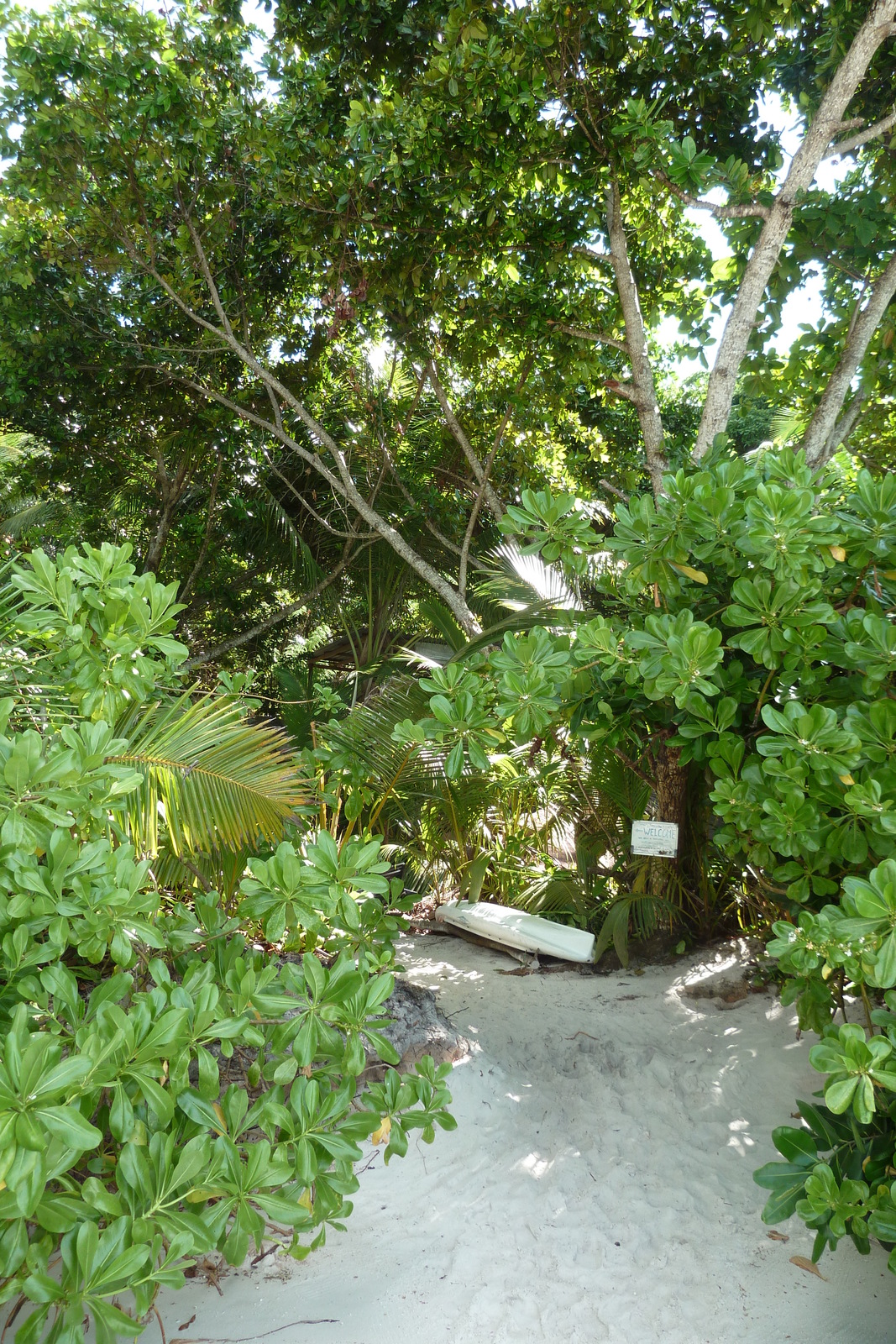 Photo Seychelles Anse Lazio 2011-10 90