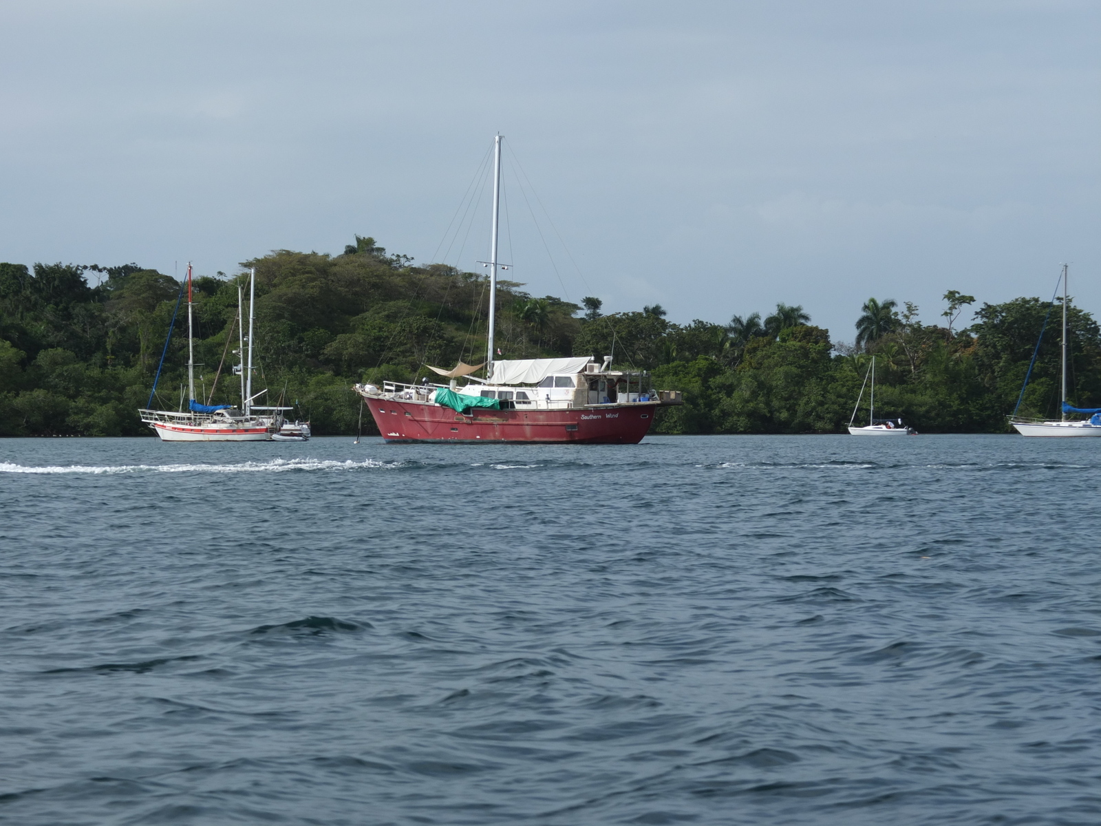 Photo Panama Bocas del toro 2015-03 56