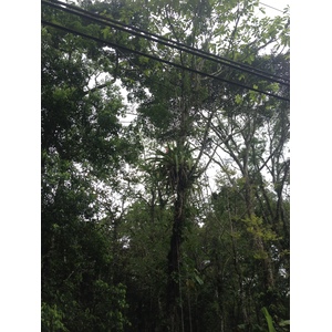 Photo Costa Rica Puerto Viejo de Talamanca 2015-03 79