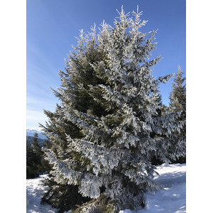 Photo France Praz sur Arly 2019-12 49