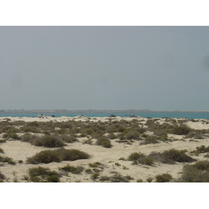 Photo Émirats arabes unis Dubai Plage de Jumeira 2005-03 6