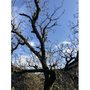 Photo France Conques 2018-04 85