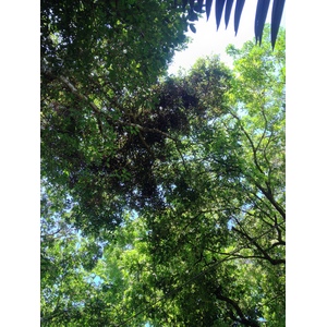 Photo Costa Rica Parc Manuel Antonio 2015-03 339