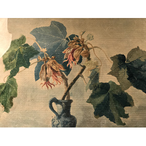 Photo Italie Sicile Palermo Palais des Normands 2020-02 136