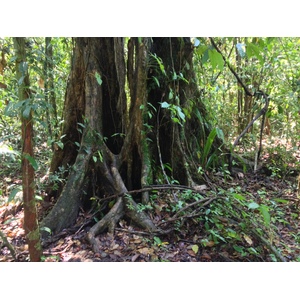 Photo Costa Rica Parc Manuel Antonio 2015-03 210