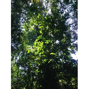 Photo Costa Rica Parc Manuel Antonio 2015-03 177
