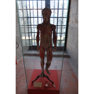 Photo Espagne Saint-Jacques-de-Compostelle 2013-01 41