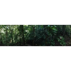 Photo Costa Rica Parc Manuel Antonio 2015-03 83
