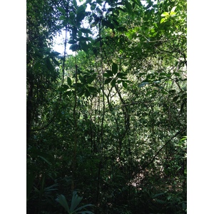 Photo Costa Rica Parc Manuel Antonio 2015-03 95