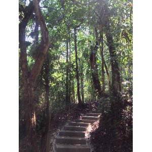 Photo Costa Rica Parc Manuel Antonio 2015-03 507