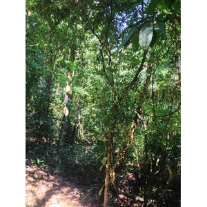 Photo Costa Rica Parc Manuel Antonio 2015-03 61