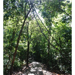 Photo Costa Rica Parc Manuel Antonio 2015-03 12