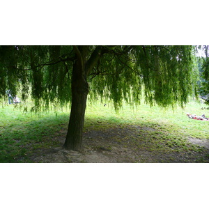 Photo France Paris Parc des Buttes-Chaumont 2007-08 41