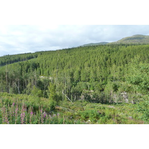 Photo Royaume-Uni Wester Ross 2011-07 36