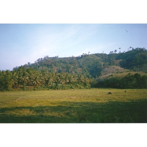 Photo Thaïlande Phuket 1994-02 3