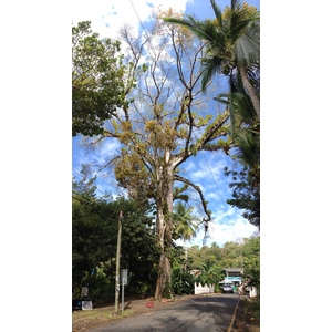 Photo Costa Rica Parc Manuel Antonio 2015-03 506