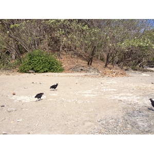 Photo Costa Rica Montezuma 2015-03 264