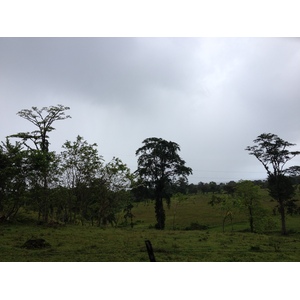 Photo Panama David à Bocas del toro 2015-03 43