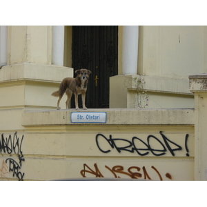 Photo Roumanie Bucharest 2003-10 61