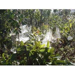 Photo Thaïlande Pang Mapha 2005-12 148