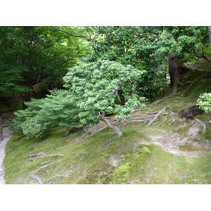 Photo Japon Kyoto Temple Ginkaku-ji (Pavillon d'argent) 2010-06 59