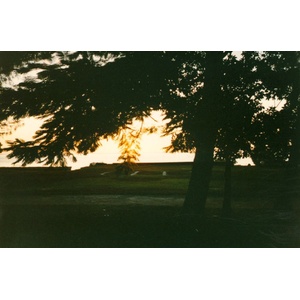 Photo Polynésie Mooréa 1993-04 99