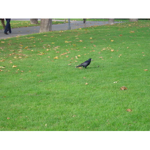 Photo Autriche Vienne 2004-11 115