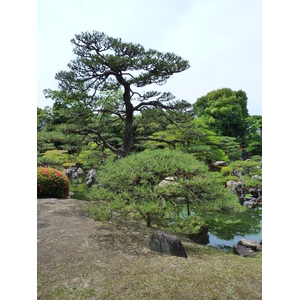 Photo Japon Kyoto Château Nijo Jardin Ninomaru 2010-06 22