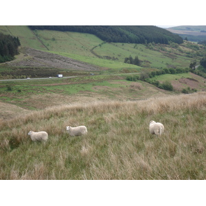Photo Royaume-Uni Parc national des Brecon Beacons 2006-05 92