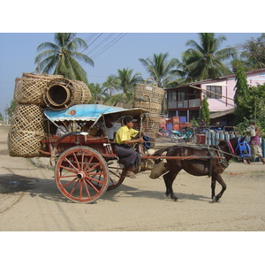 Photo Birmanie (Myanmar) Dawei (TAVOY) 2005-01 48