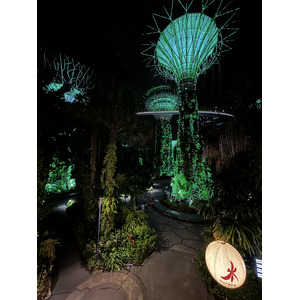 Photo Singapour Garden by the bay 2023-01 13