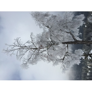 Photo France Megève 2016-02 16