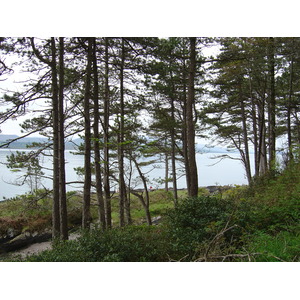 Photo Irlande Kerry Kenmare Templenoe 2004-05 0